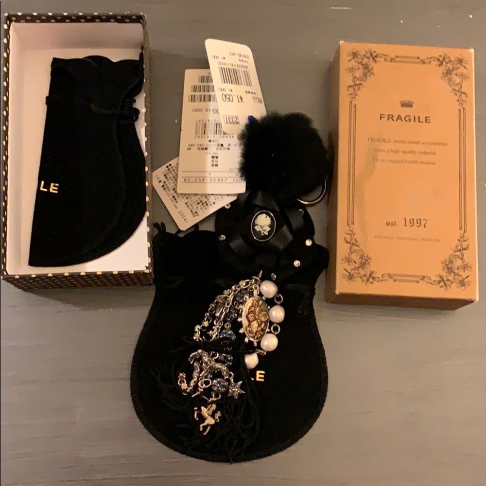 NWT fancy key chain
